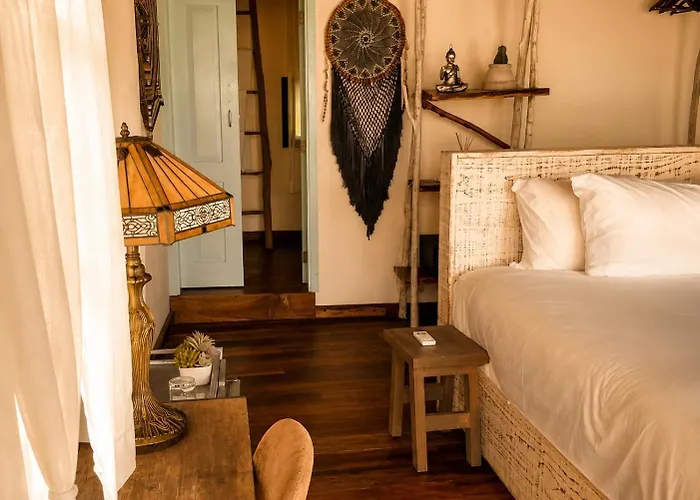 Olivia Oceanfront Hotel 5*