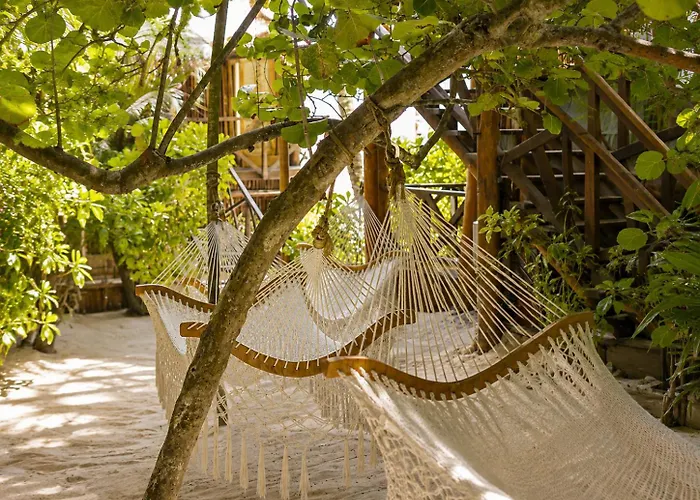 Olivia Oceanfront Hotel 5*