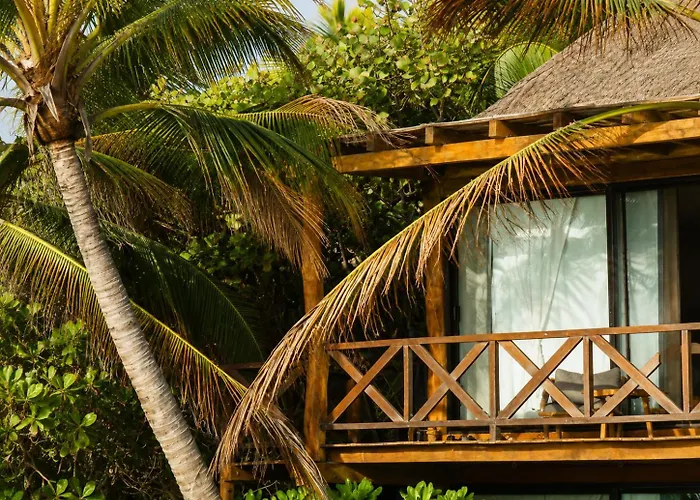 Olivia Oceanfront Tulum